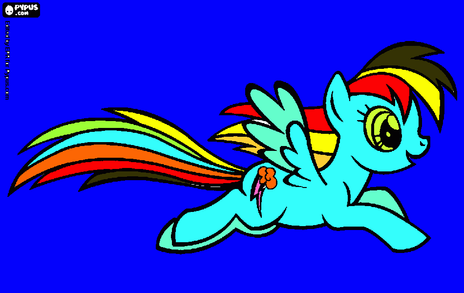 rain bow dash boyama